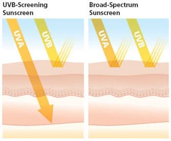 uvb_broad spectrum diagram