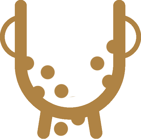 Seborrheic Keratosis icon