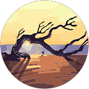 Sue Ceynowa profile picture